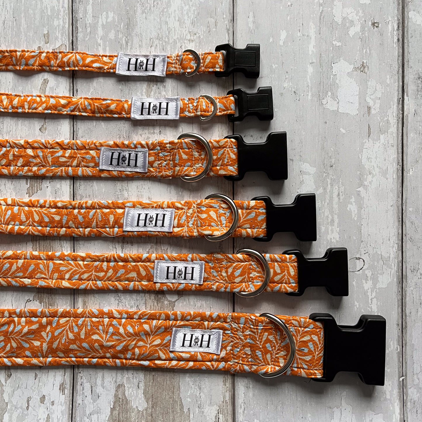 Autumn Leaves Dog Collar