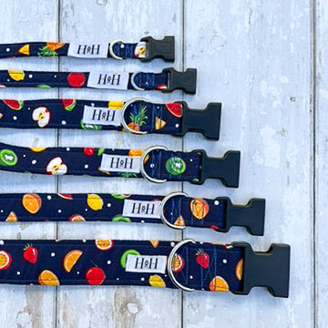 Fruits Dog Collar