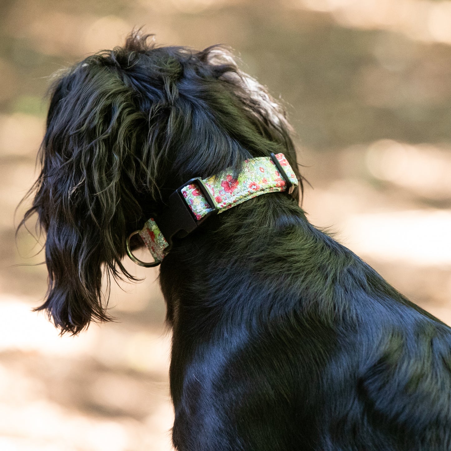 HETTY AND HUXLEY LIBERTY FLORAL COLLAR ON COCKER SPANIEL