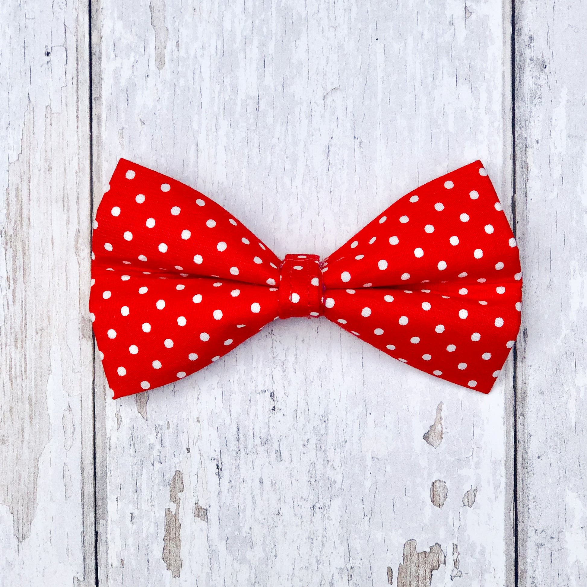 HETTY AND HUXLEY RED POLKA DOT MEDIUM BOW TIE