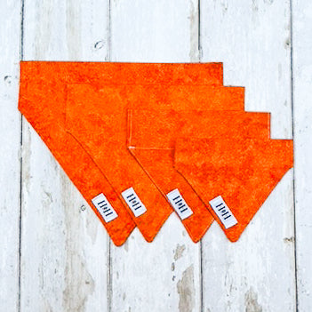 HETTY AND HUXLEY ORANGE FIRE BANDANAS