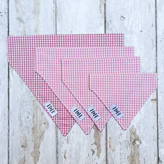 HETTY AND HUXLEY PINK GINGHAM BANDANAS