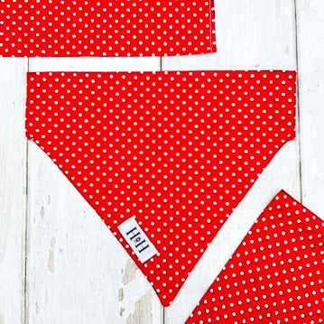 HETTY AND HUXLEY RED POLKA DOTS BANDANA