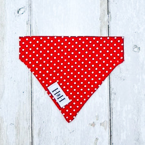 HETTY AND HUXLEY RED POLKA DOTS BANDANA XSMALL