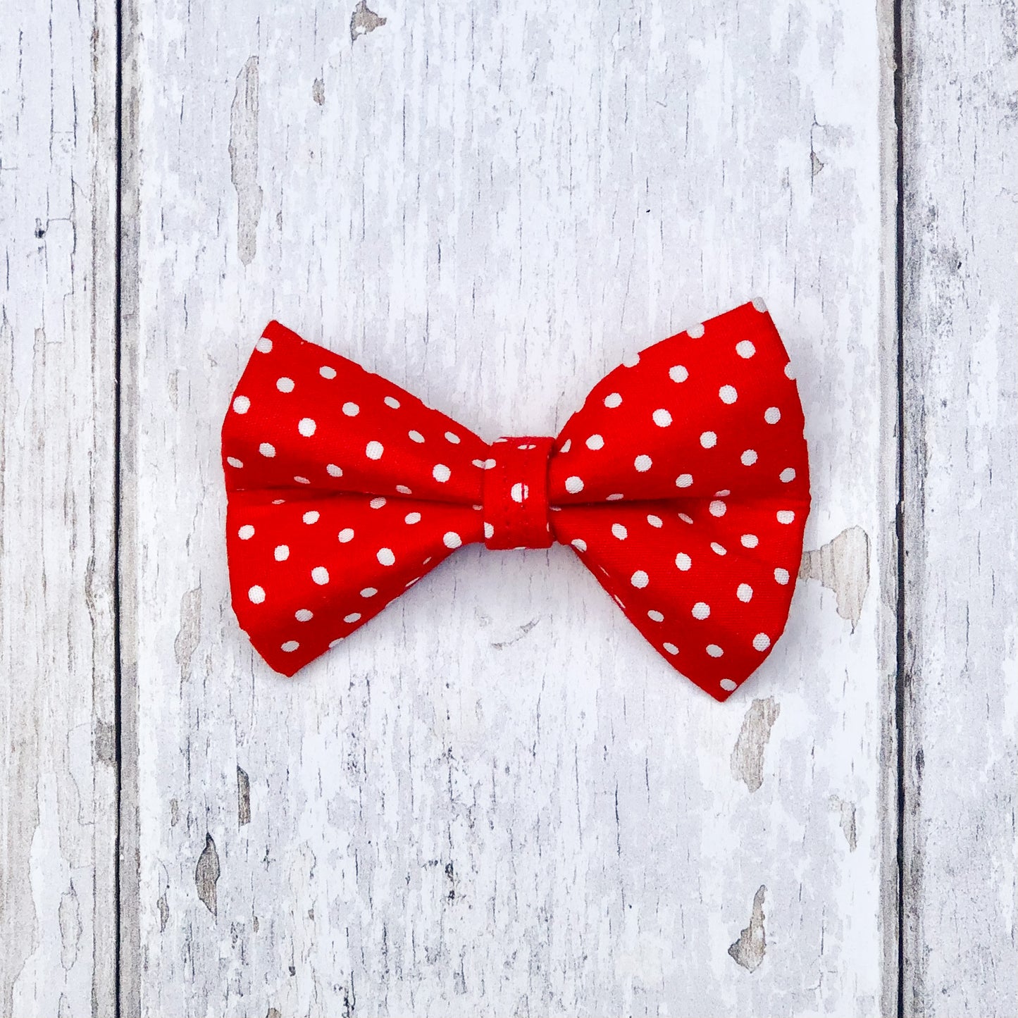 HETTY AND HUXLEY RED POLKA DOT SMALL BOW TIE