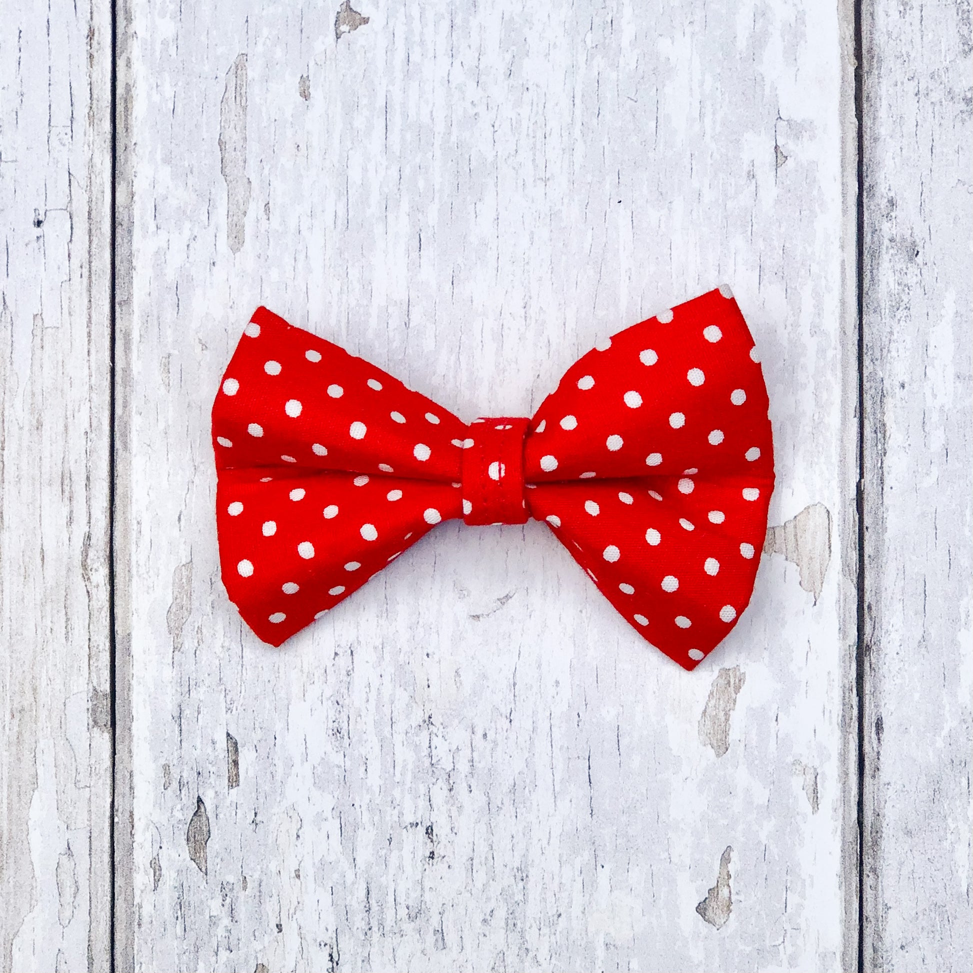 HETTY AND HUXLEY RED POLKA DOT SMALL BOW TIE